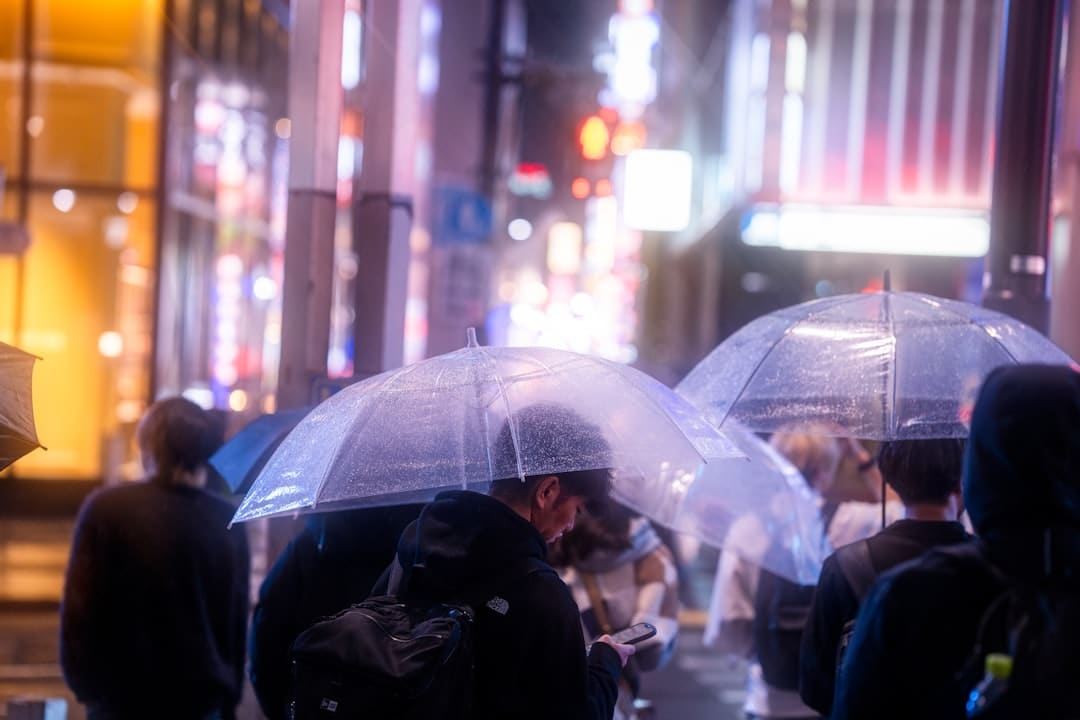 山东港口青岛港外贸航线数量继续添加